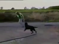 آب بازی کردن سگ و صاحبش