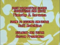 انیمیشن (باب اسفنجی، تازه وارد در شهر) دوبله فارسی