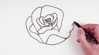آموزش نقاشی به کودکان : نقاشی گل رز
