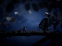 خیلی خیلی کوچک (1) (شب بیخوابی)