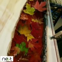 خلاق باشیم با برگ های پاییزی زیبایی بسازیم | nect.ir