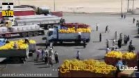 کرونا صادرات ایران را فلج کرد