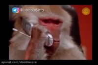 دوبله طنز بیرجندی / مودم میمو !