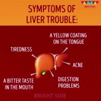چطور کبد را پاک‌سازی کنیم؟