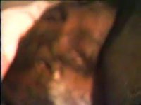 شهید مهدی ذهبی