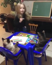 کلیپ خنده دار کوتاه آموزش در خانه