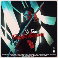 آهنگ فرشید ادهمی بی تاب