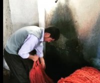 مرتب سازی کلاف های پشم بعد از عملیات رنگرزی در کارگاه رنگرزی فرش فراهان