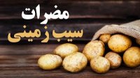 اثرات مخرب مصرف سیب زمینی
