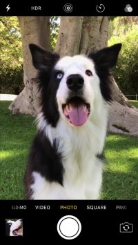 عکاسی با آیفون - قسمت پانزدهم