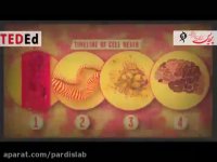 آلزایمر چیست؟ - آزمایشگاه پردیس مشهد