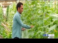 دهکده اقتصاد مقاومتی - بسیج سازندگی - محرومیت زدایی