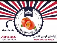 قیمت خرید نهال خرمالو 09141811520