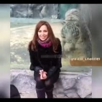 وقتی فاصله با مرگ فقط به اندازه یک شیشه است!