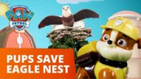 انیمیشن سگهای نگهبان : نجات آشیانه عقاب