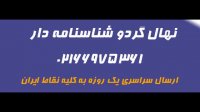 نهال گردو کانادایی اصلاح شده  09350798050