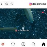 مستند اصفهانی