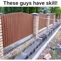 دومینو ینی این باقیش سوسول بازیه