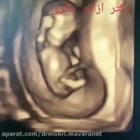 روند رشد جنین