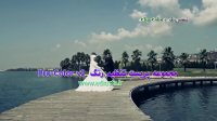 مجموعه رنگ سینمایی و تنظیمات رنگ مخصوص ویدیو کلیپ