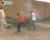 گوسفند رو از طناب جدا کردن صاحبش نفهمید