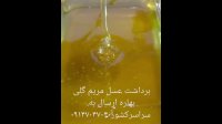 عسل مریم گلی