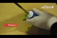 شوخی های خرکی!