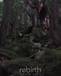 Navab Jalil - Rebirth Album (Intro)