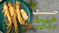 جینسینگ دارویی موثر از دل طبیعت