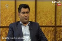 دکتر یاسر نژادی / جراح و متخصص ارتوپدی