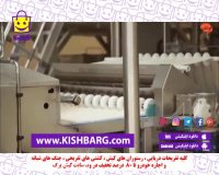 تکنولوژی کارخانه جات ایران،دستگاهای بسته بندی و تخم مرغ