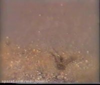 موزیک بسیار زیبای آذری!!