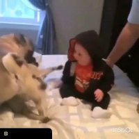 سرگرمی نی نی با سگ مهربون