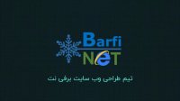 گروه طراحی وب سایت برفی نت