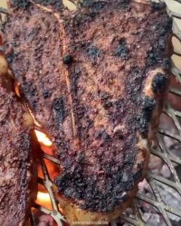 آشپزی در طبیعت قسمت 20