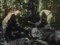 لئون تالستوی در قاب دوربین