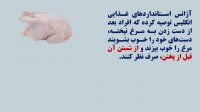 مسمومیت وحشتناک با شستشوی مرغ قبل از پخت
