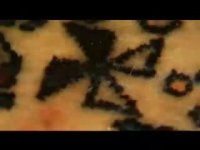 کمال تبریزی و فرش زمین