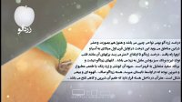 خواص غذایی و درمانی زردآلو-دانش تغذیه