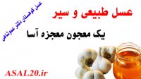 خواص درمانی معجون سیر و عسل