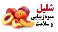 شلیل میوه زیبایی و سلامت