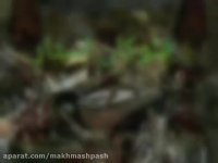 سازنده دستگاه ابکاری//فروش اموزش فرمول فانتاکروم02156571497