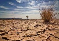 مقابله با بیابان زایی