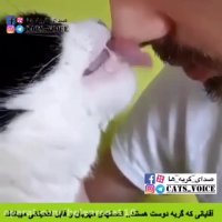 راز گلدان ؛