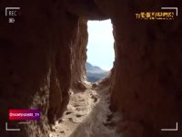 محل زندگی یوزپلنگ ایرانی