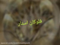 استیل پاش//تولیددستگاه ابکاری پاششی//فلوکان02156571497