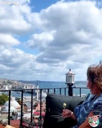 کلیپهای خنده دار اینستا : غذا رو با جاش برد