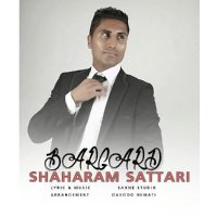 آهنگ جدید شهرام ستاری به نام برگرد از کانال تماشا تهران سانگ