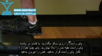 آموزش حرکت جفت دمبل پله Dumbbell Step Ups