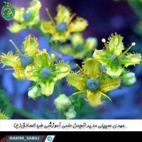 طب اسلامی ضعف عقل هوشیاری استاد مهدی سبیلی